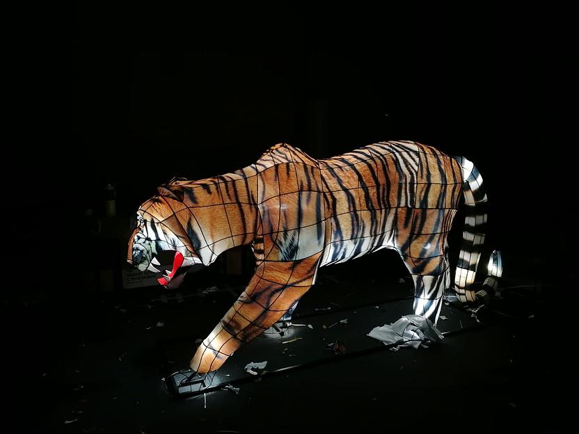 Световая скульптура «Тигр Амурский» фото 1