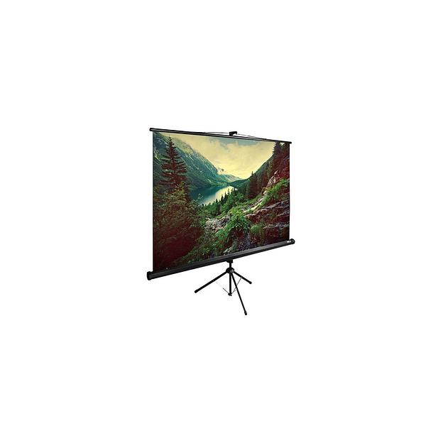 Экран Cactus TriExpert CS-PSTE-220x220-BK, 220х220 см, 1:1, напольный черный фото 1