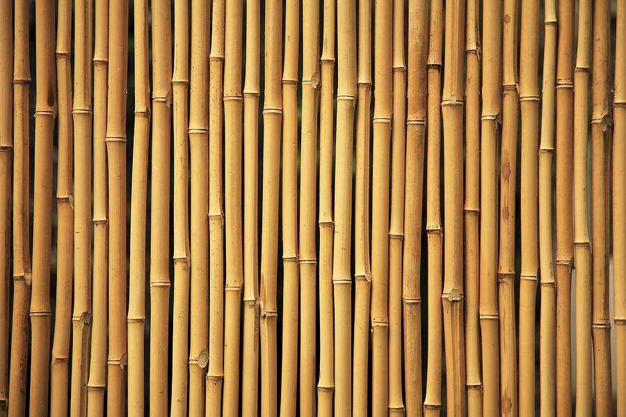 Панель из половинок бамбука, Светлый обжиг, опт фото 4