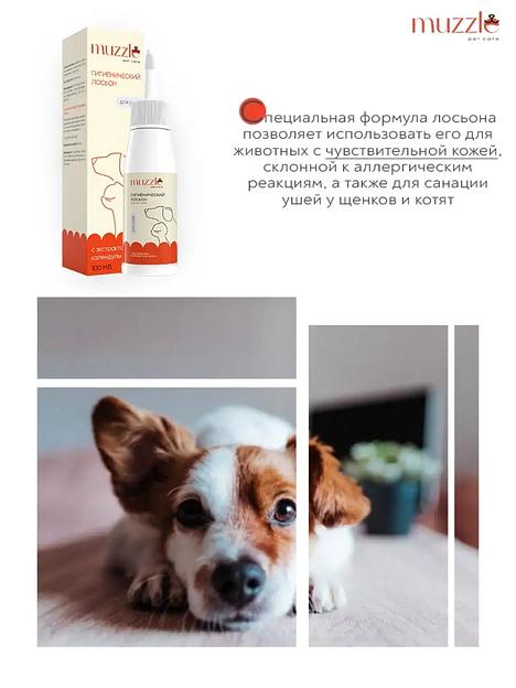 Гигиенический лосьон для ушей собак и кошек 100 мл ОПТ фото 4