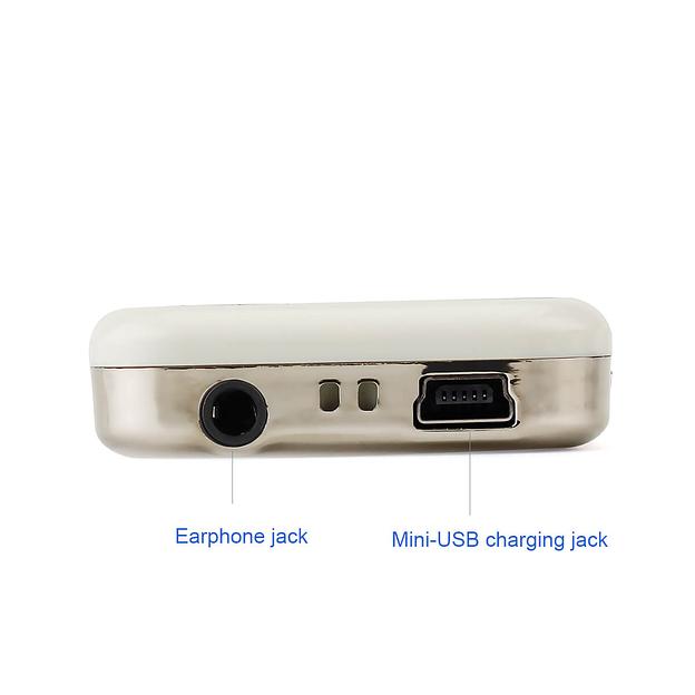 Радиогид система на 25 экскурсантов SGTR02 фото 4