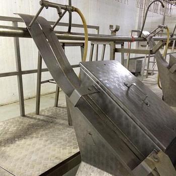 Машина обрезки печени от пакета внутренностей у птиц фото 2