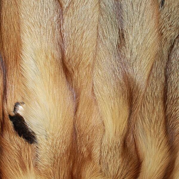 Шкурки лисицы «Красная», опт фото 1