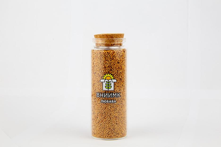 Семена сурепицы озимой ВНИИМК сорт Любава фото 1