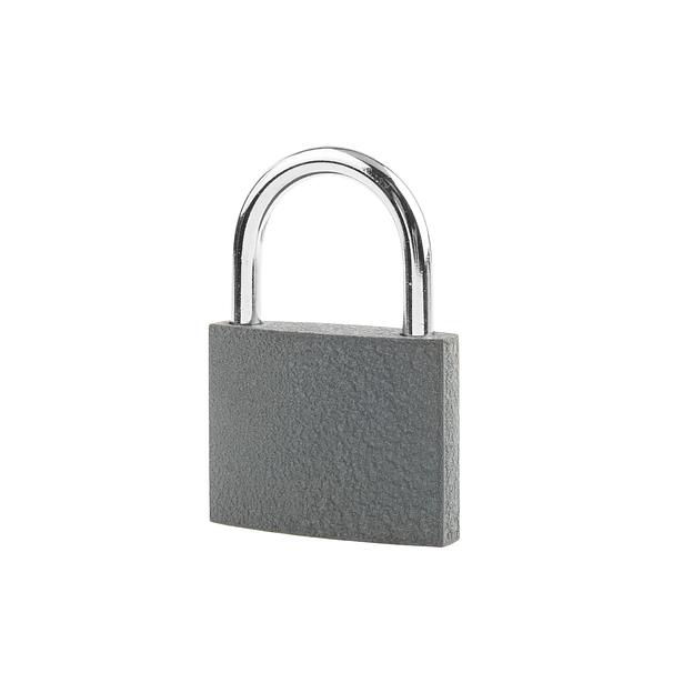 Замок навесной 45,3×57 мм, чугун фото 1