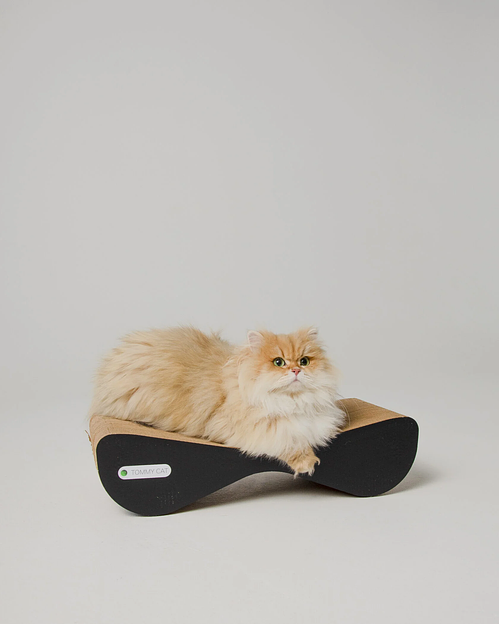 Когтеточка-лежанка дроп черный обод 54х14х22 см опт фото 5