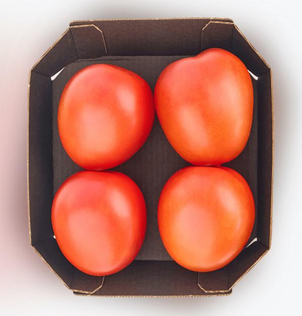 Томат сливовидный Фламенко лоток 450 г ОПТ фото 3