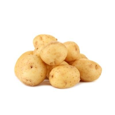 Свежие овощи «Картофель Молодой», опт фото 1