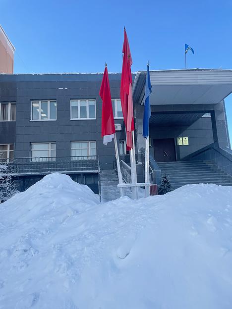 Набор флагов 7 шт фото 1