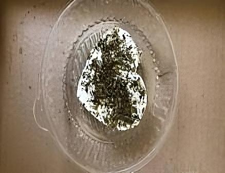 Сыр твердый «Пармезан» из цельного козьего молока с м. д. ж. в сухом веществе не менее 50% опт фото 1