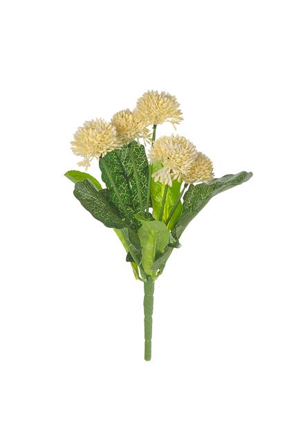 Бархатцы, В280, белый фото 1