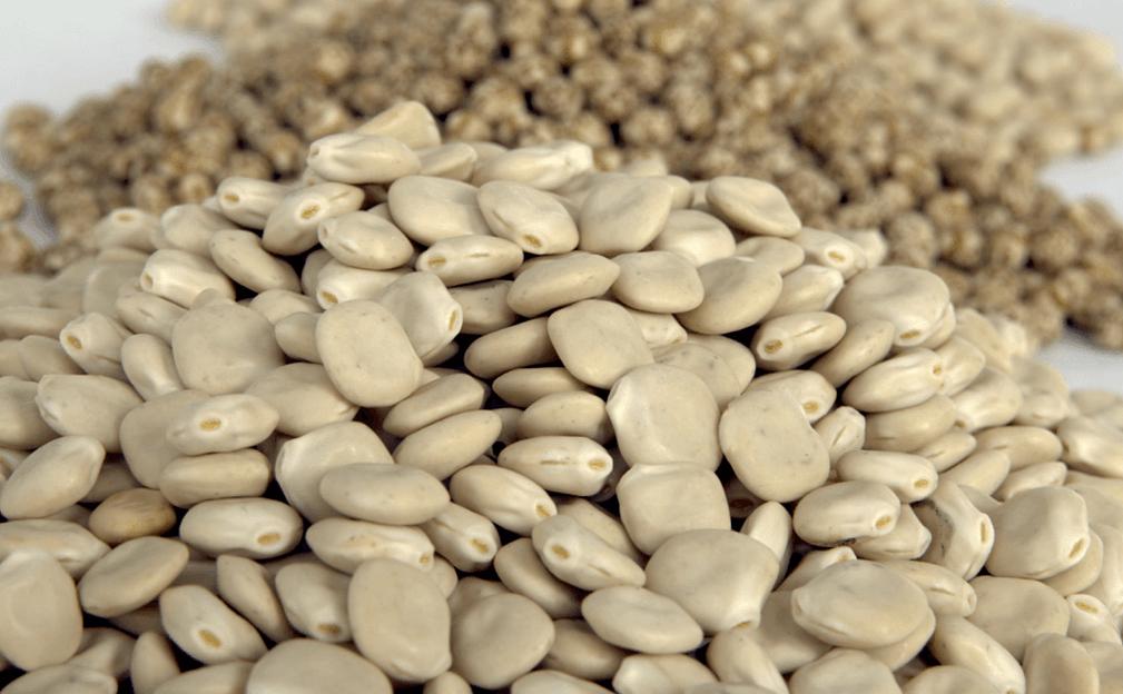 Семена люпина «Дега ЭС» опт фото 1