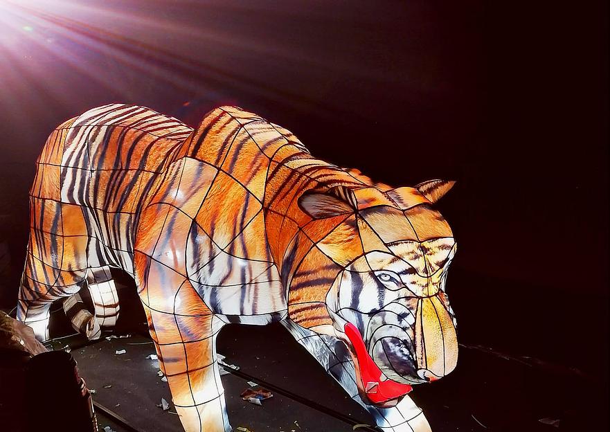 Световая скульптура «Тигр Амурский» фото 2