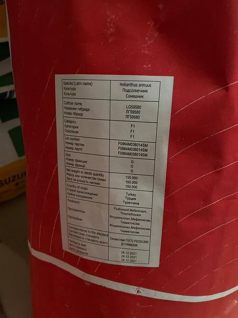 Гибрид семян подсолнечника LG 59580 фото 2