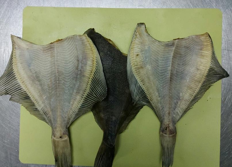 Камбала вяленая фото 1