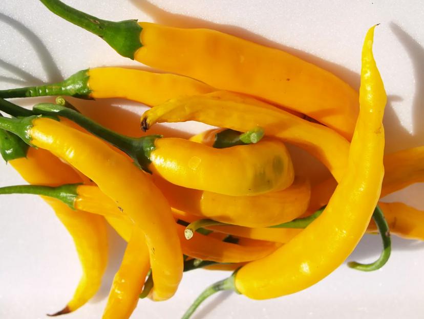 Перец острый жёлтый фото 1