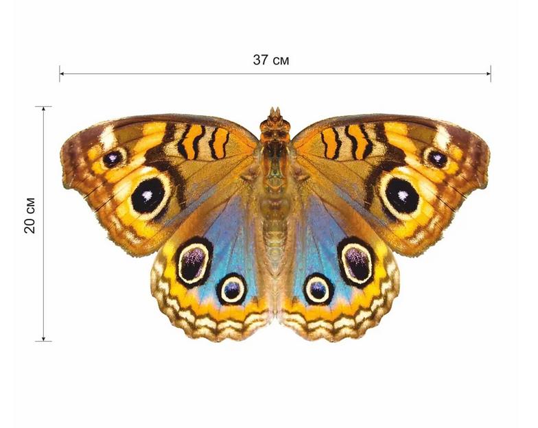 Деревянные пазлы «Юнония» M 37×20 см 167 деталей фото 7