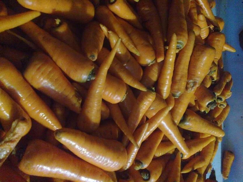 Овощемоечные машины, оборудование для мойки овощей фото 5