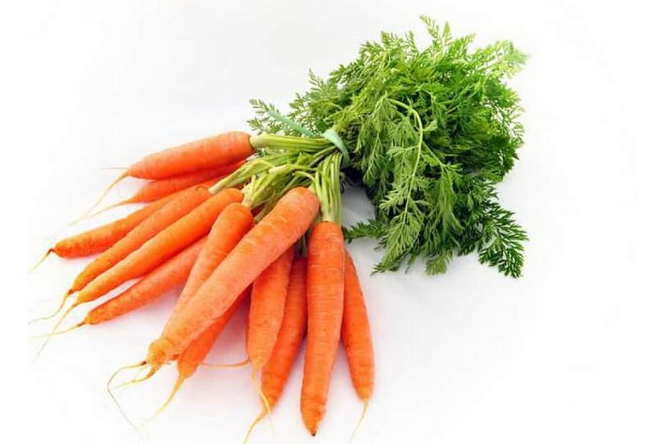 Морковь столовая свежая фото 1