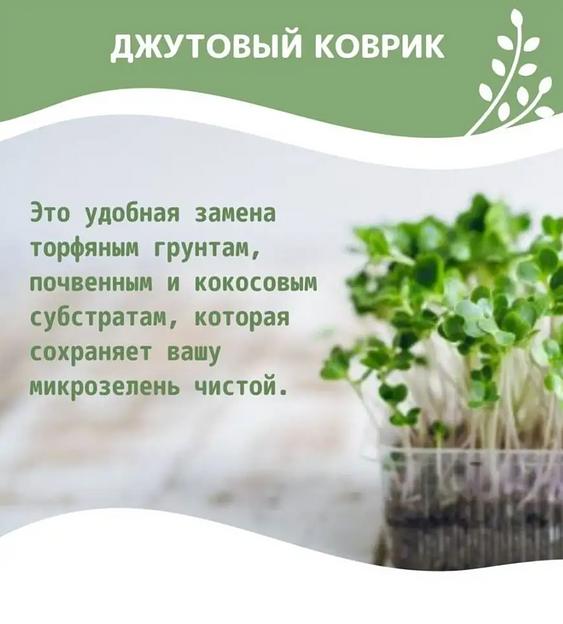 Джутовый коврик для выращивания микрозелени 10 шт ОПТ фото 4