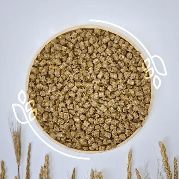 Комбикорм-концентрат для лошадей фото 1