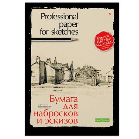 Бумага для набросков и эскизов, А3, 20л., 100г/м2, профессиональная серия, Альт 4-087 фото 1