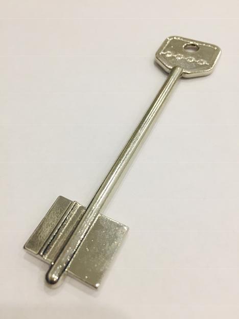 Заготовка ключа СЕНАТ-1 фото 1