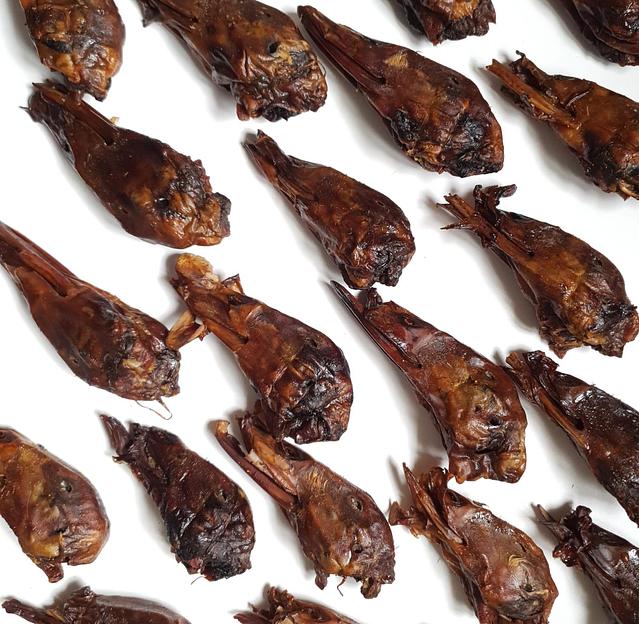 Головы утиные BuckDog, пакет 2 шт фото 2