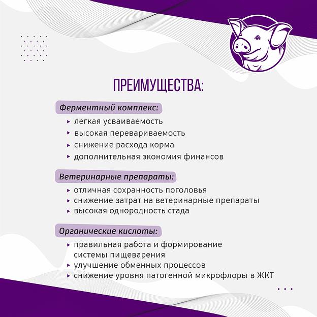 Полнорационный комбикорм для поросят «УБОЙНЫЙ КОРМ» фото 3