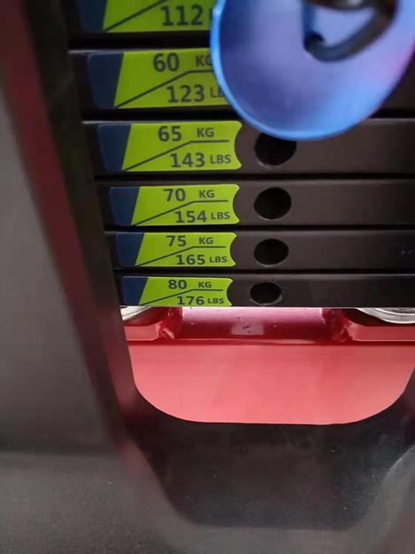 Жим от плеч Insight Fitness TF02 фото 9