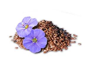 Удобрение для роста растений «Изагри Калий» 10 л опт фото 3