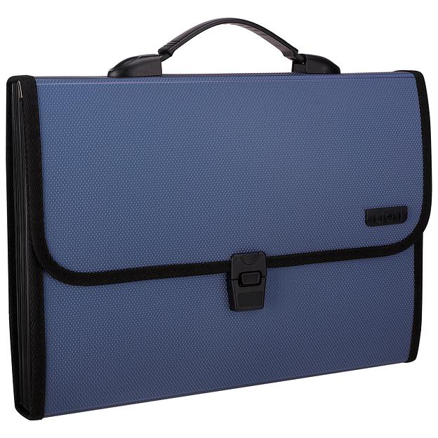 Папка-портфель Deli Extend E5556 12 отдел. A4 полипропилен 1.05мм ассорти фото 6