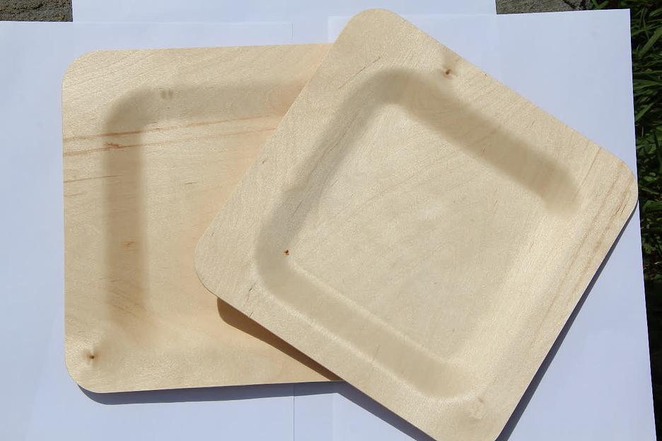 Тарелка для главных блюд одноразовая, квадратная 230 мм фото 8