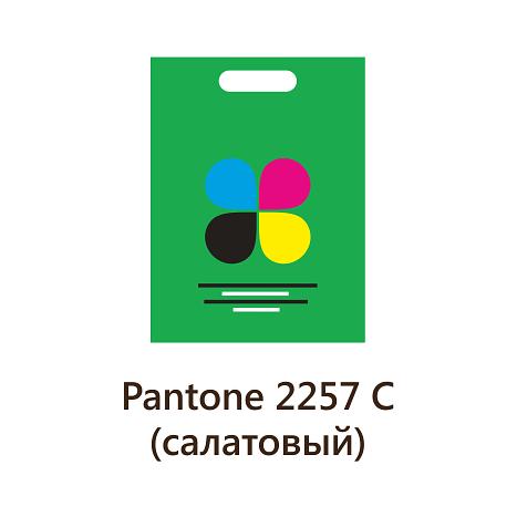 Услуга печати на пакетах ПВД салатовые 50х60 мм, упаковка (1000 шт) фото 1
