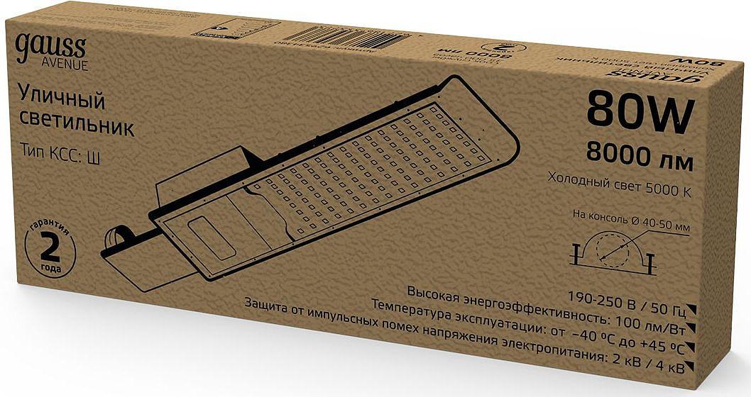 Светильник консольный Gauss 629534380 80Вт ламп.:100шт светодиод.лампа черный фото 2