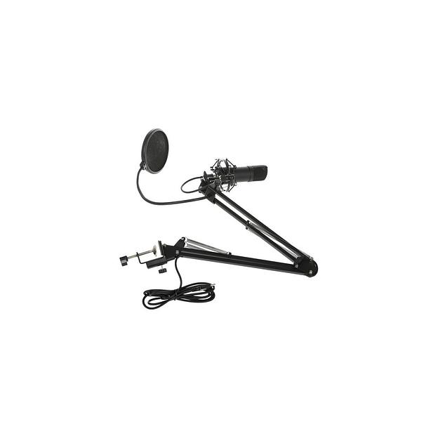 Микрофон Ritmix RDM-180, черный [80000153] фото 1