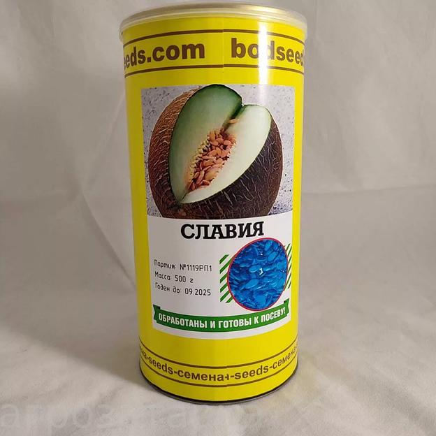 Семена дыни «Славия» в банке 500 г фото 1