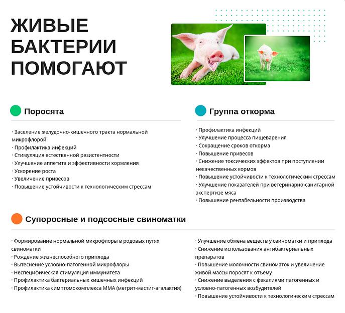 Живые бактерии для свиней Бонака-АПК, сухая форма опт фото 4