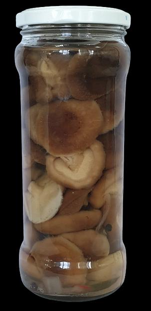 Грузди маринованные стекло «Green club» ОПТ фото 2