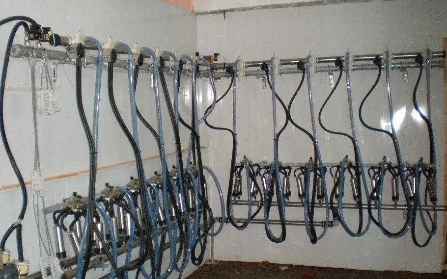 Молокопровод на 200 голов фото 1