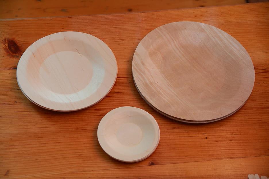 Тарелка для главных блюд одноразовая, круглая 230 мм фото 6