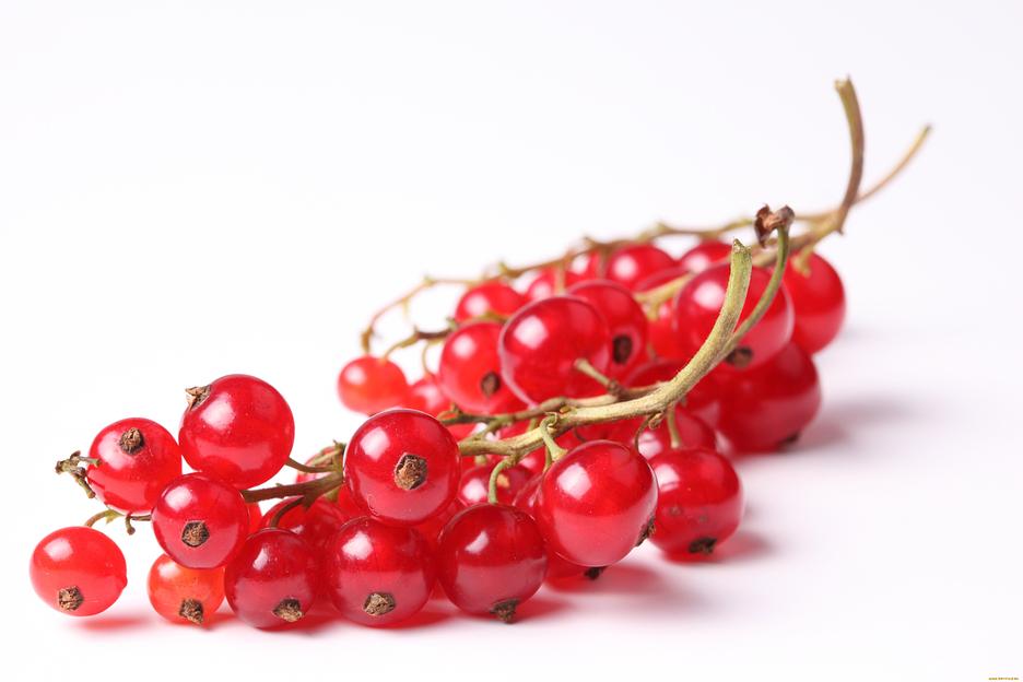 Красная смородина опт фото 1