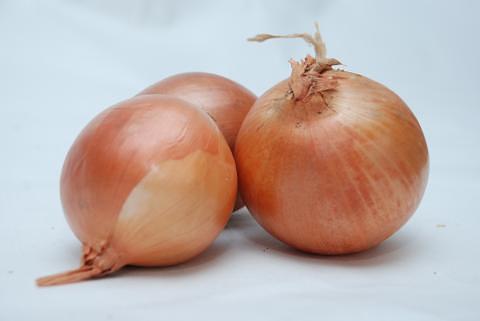 Свежие овощи «Лук желтый репчатый», опт фото 1