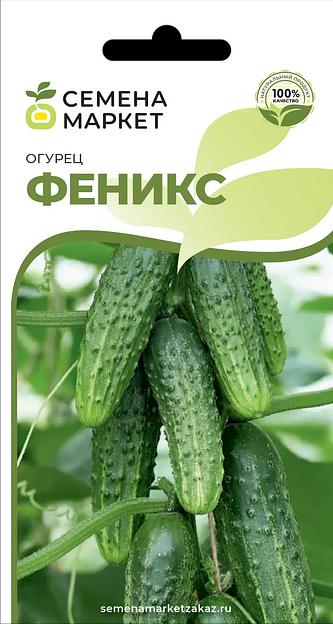 Семена посевные Огурец «Феникс» ОПТ фото 1