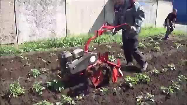 Окучник дисковый однорядный ОДО-16 опт фото 4