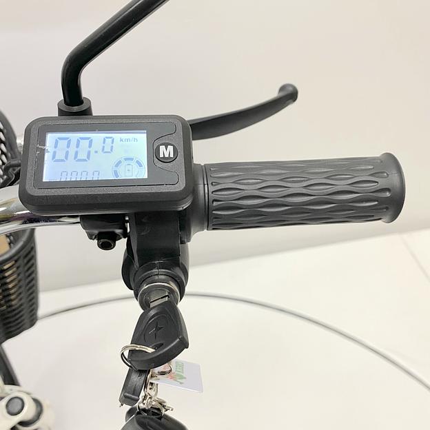 Электровелосипед GreenCamel Транк 18 V8 (R18 250W 60v10Ah) DD, гидравлика, 123833 фото 10