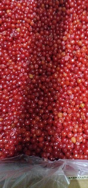 Калина замороженная опт фото 1