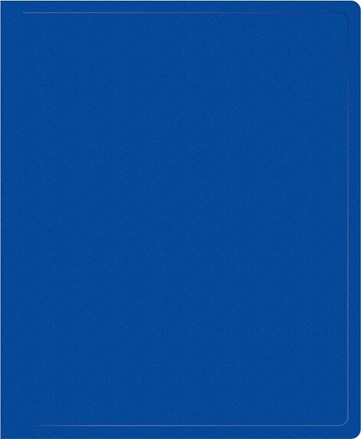 Папка на 2-х кольцах Silwerhof Eco SE-0413/2RBLU A4 пластик 0.5мм кор.18мм синий фото 1