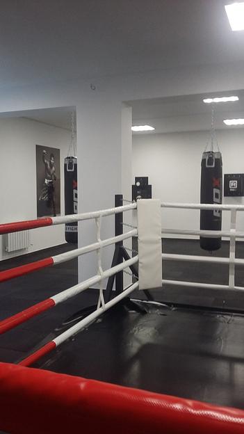 Ринг боксерский Great Fight напольный на упорах с боевой зоной 6×6 м, опт фото 2