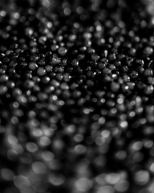 Осетровая икра Азовский берег «Премиум» 500 г, опт фото 3